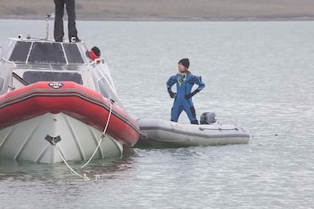 En las heladas aguas buscan