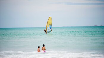 Una de las opciones es