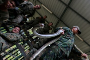 (REUTERS/Athit Perawongmetha TPX IMAGES OF