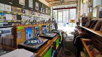 Halcyon se especializa en discos