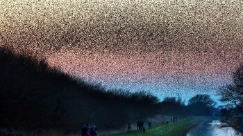 Las nubes negras de los