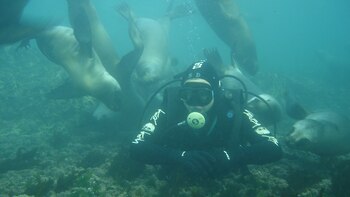 Buceo en Puerto Madryn
