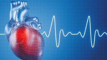 El aparato consiste en una