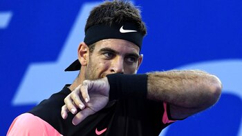 Juan Martín del Potro (AFP)