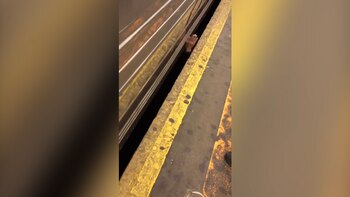 Los pasajeros se desesperaron al