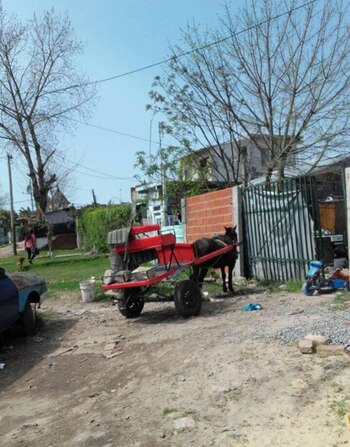 (Caballos de Quilmes)