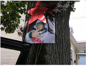 Los programas comunitarios contra las