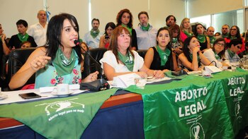 El 6 de marzo el proyecto de ley volvió a ser presentado en el Congreso (Maximiliano Luna)