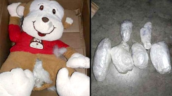 Foto del hallazgo en el