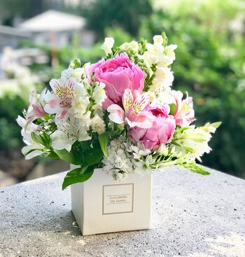 En la actualidad se observa