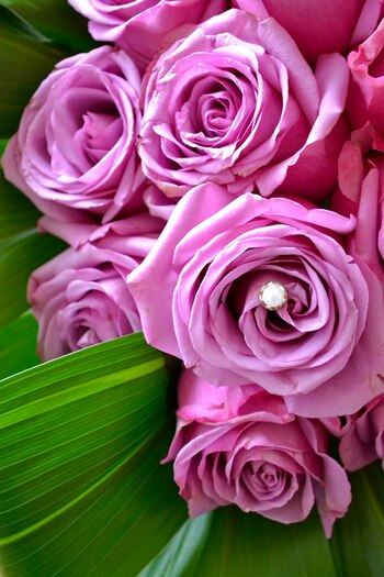 Para agregarles un toque extra