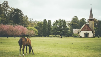 El paisaje de La Candelaria: la