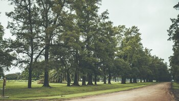 La Candelaria cuenta con amplios