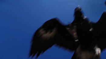 El momento posterior al ataque