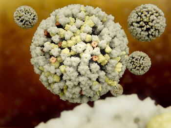 El virus de la influenza tiene