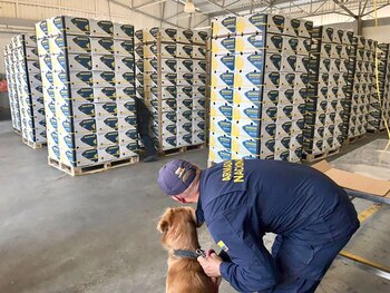 Un perro asiste a un