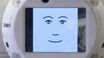 El cerebro del aparato inteligente