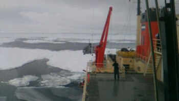 Los científicos estadounidenses fueron rescatados al Noreste de la Península Antártica