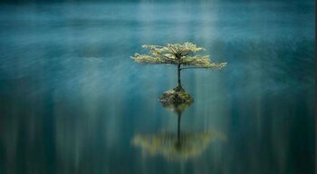 El segundo puesto fue para