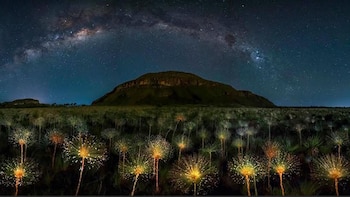 La ganadora en la categoría