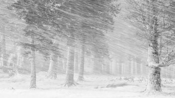 En la categoría Snow, la