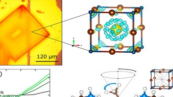 Los investigadores descifraron la estructura
