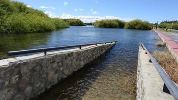 Esperan que la situación se