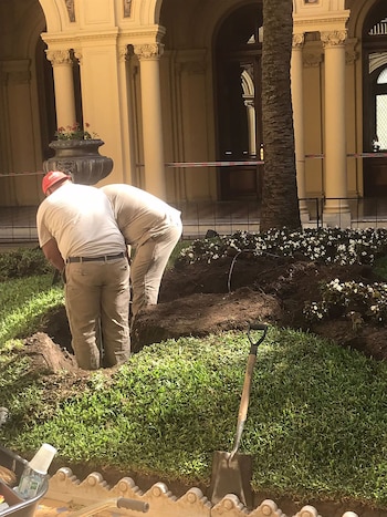 Imagen XYU7ZP5ZRZBSZJORVZSR3D6CXM