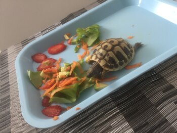 El Centro de Control y