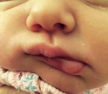 Magnolia ya cumplió dos meses