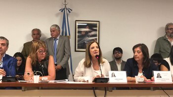 La diputada del PRO Carmen