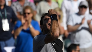 Juan Martín del Potro celebra