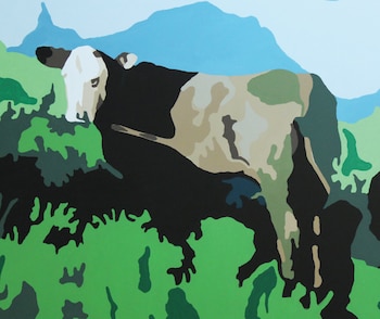 El campo argentino llevado al