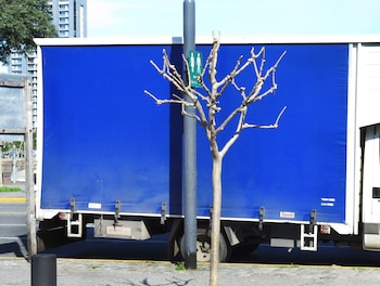 La exposición abarca sus primeras