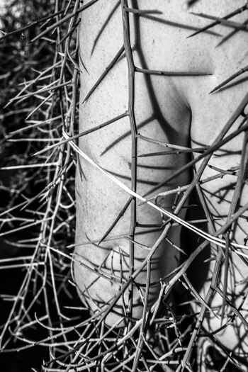 GLI SPINATI DI SAN ROCCO