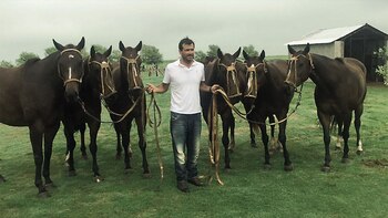 El polista Adolfo Cambiasso ya