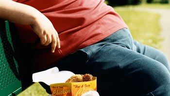 La renovación de las células