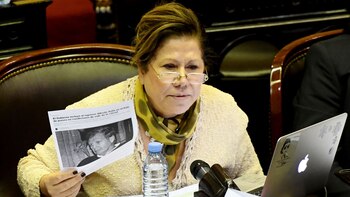 La diputada Graciela Camaño