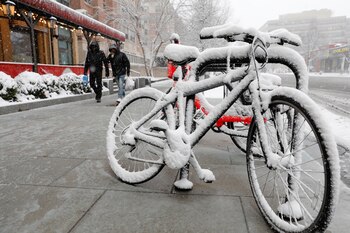 (REUTERS/Yuri Gripas)