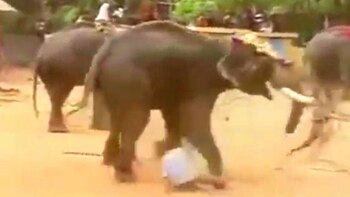 La víctima murió producto de