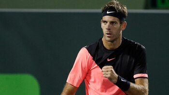 Juan Martín del Potro se