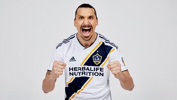 Ibrahimovic lleva 22 goles en