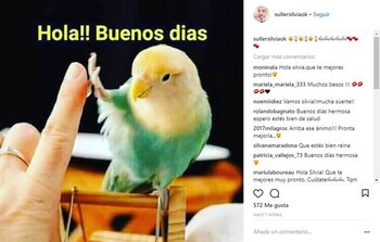 El curioso mensaje de Silvia