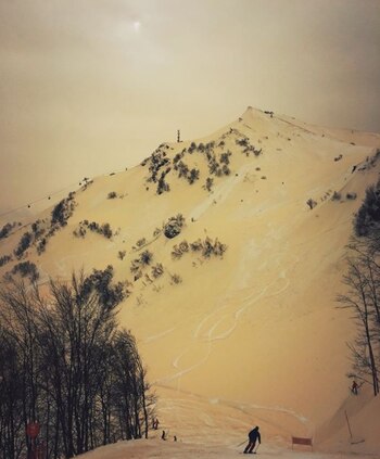 (Instagram/ksusha_knopik)