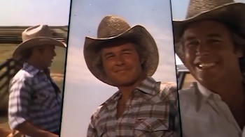 Steve Kanaly interpretó a Ray