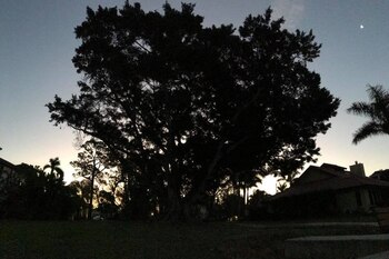 (Foto: Amanda Inscore/The News-Press)