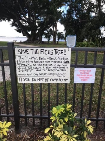 Cortesía Taylor Anslinger/Facebook