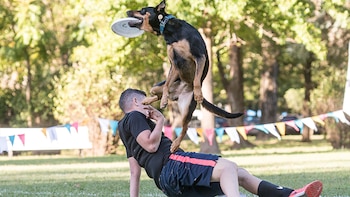 Con diferentes técnicas, las diferentes