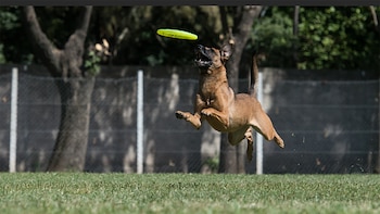 El domingo se realizó la clasificatoria