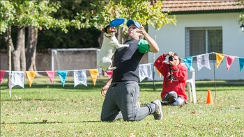 Diferentes categorías de acuerdo a